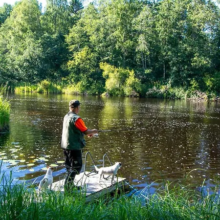 Дом отдыха Mertala