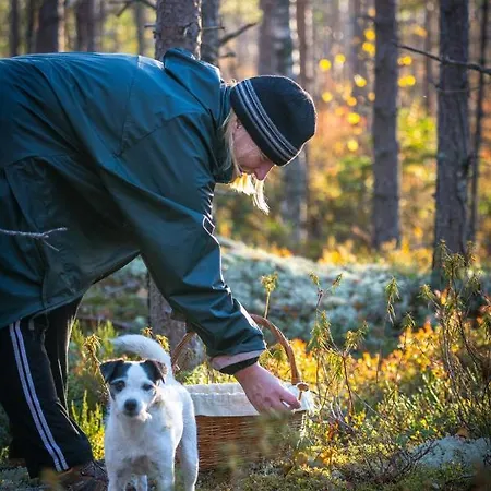 Дом отдыха Mertala