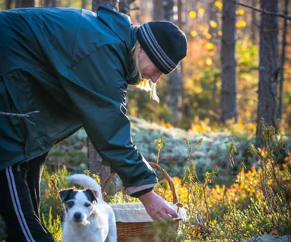 Semesterbostad Mertala